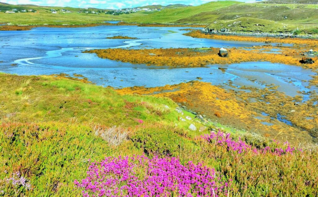 Landscape, beauty, inspiration, Scotland, Lewis, island, heather convergence of water, land, and sky