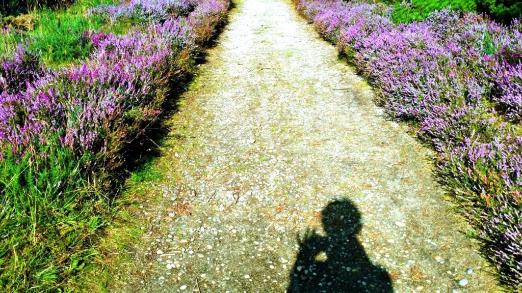 Art Sparks Cosmic Creativity and Well-Being Program leads you on a path to empowerment.